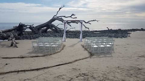 Driftwood Beach at golden hour